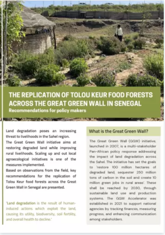 The replication of Tolou Keur food forests across the Great Green Wall in Senegal