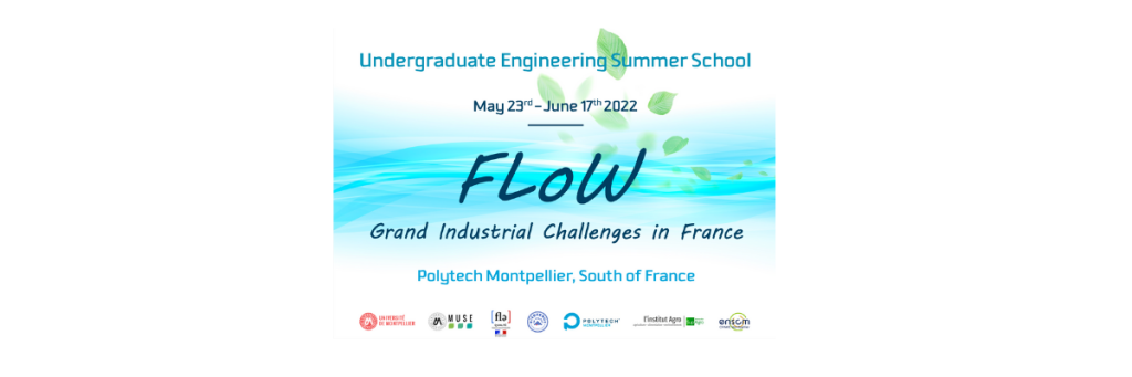 Flow Summer School