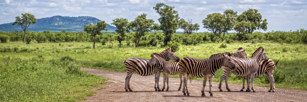 Kruger National Park