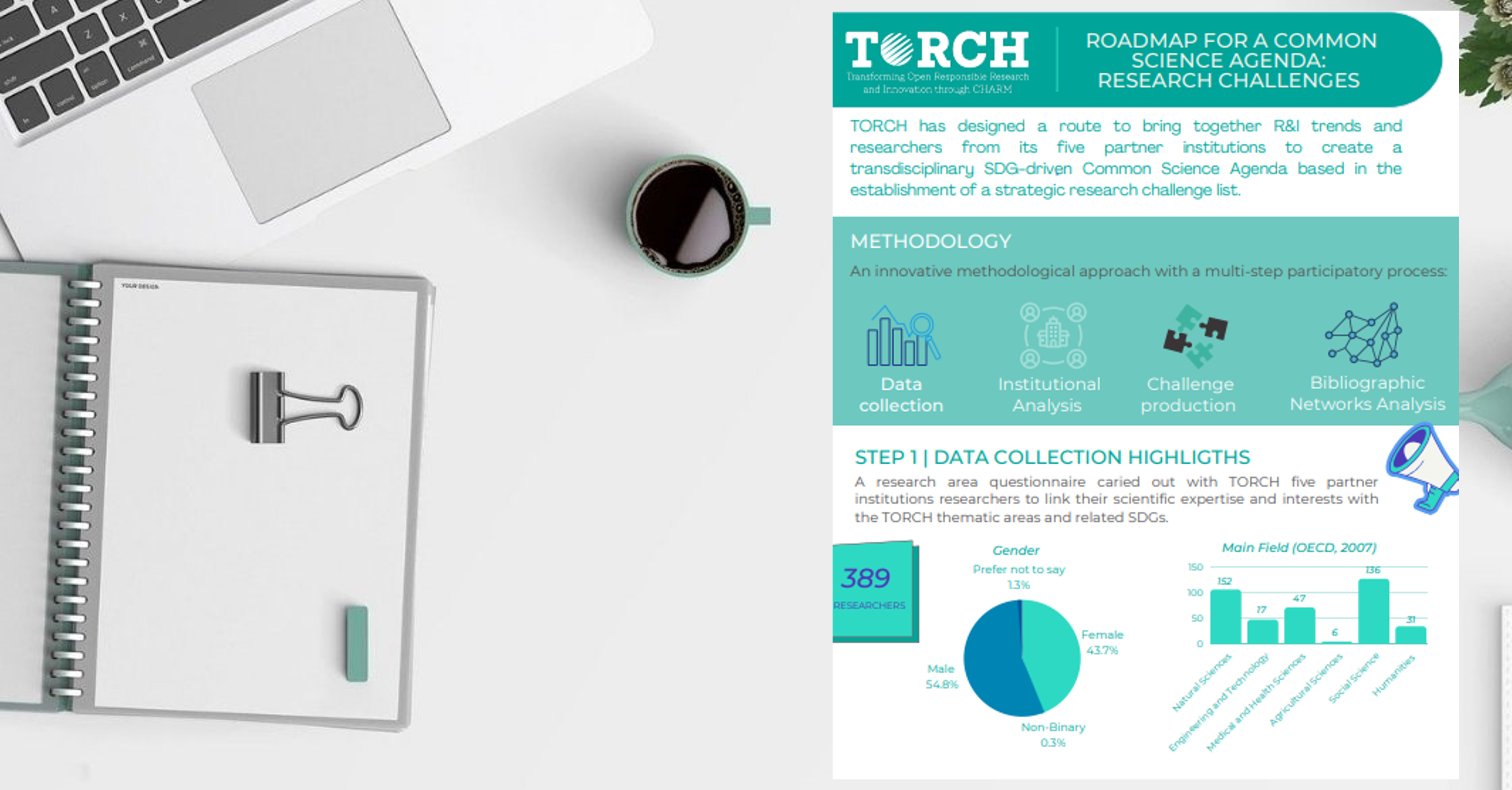 TORCH_Infographic Roadmap for a common science agenda (TORCH)