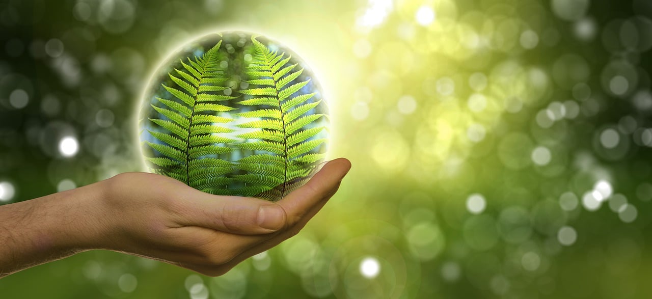 Learn with UniEco: Become more sustainable