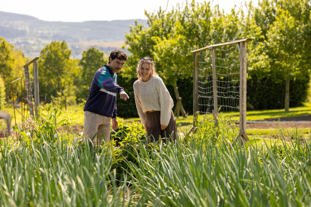 Two students examine crops on a sunny day