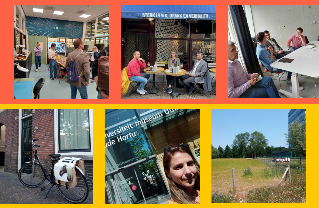 SP_charmobility My CHARMobility Experience Reports