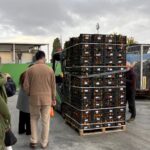 An outdoor industrial area where a forklift is transporting a tall stack of black crates filled with produce. Several people stand nearby observing the scene.