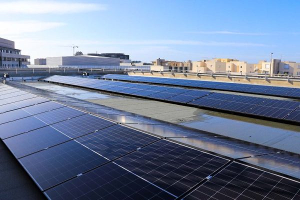 A wide view of several rows of solar panels installed on a flat rooftop, arranged in parallel lines. In the background, multiple low-rise buildings are visible under a clear blue sky.