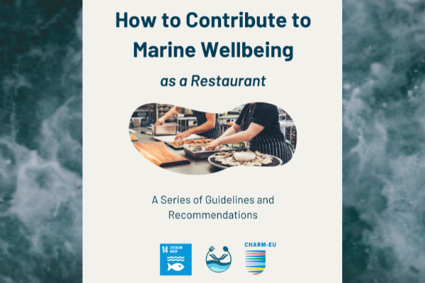 Poster of the guidelines for restaurants to contribute to marine wellbeing prepared by CHARM-EU students