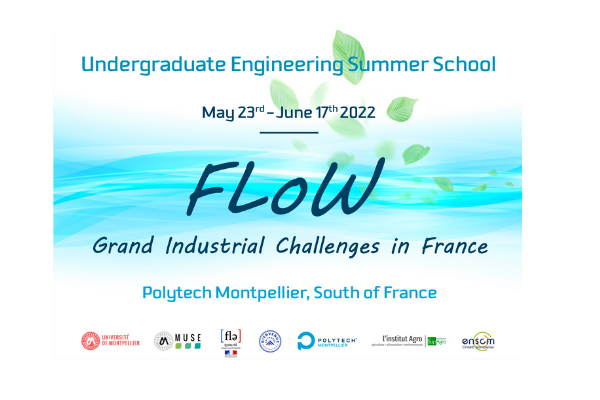 Flow Summer School