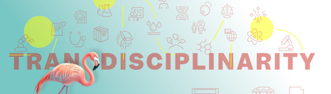 Summer Doctoral School (2)