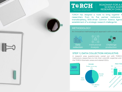 TORCH_Infographic