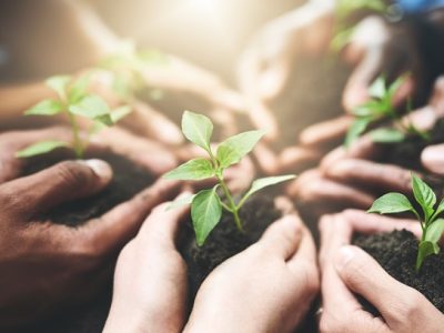 People,,Teamwork,And,Hands,With,Sprout,In,Soil,For,Sustainability,
