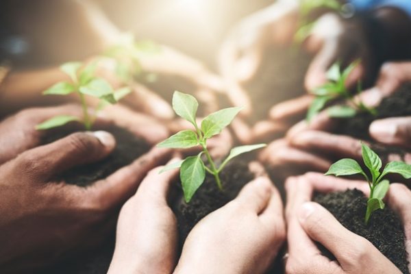 People,,Teamwork,And,Hands,With,Sprout,In,Soil,For,Sustainability,