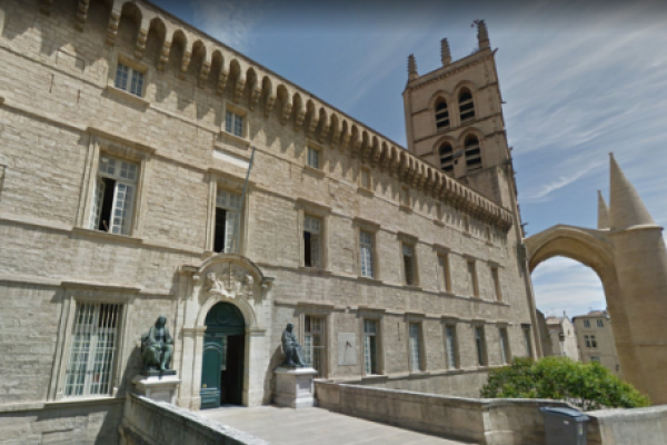 montpellier universite